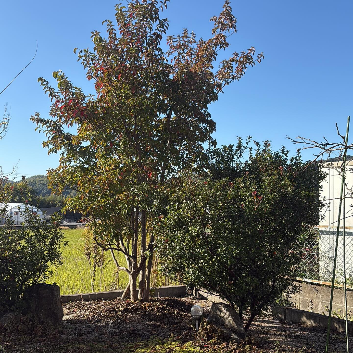 樋口建築は、筑後地区にてお客様一人ひとりのご要望に応じた個人