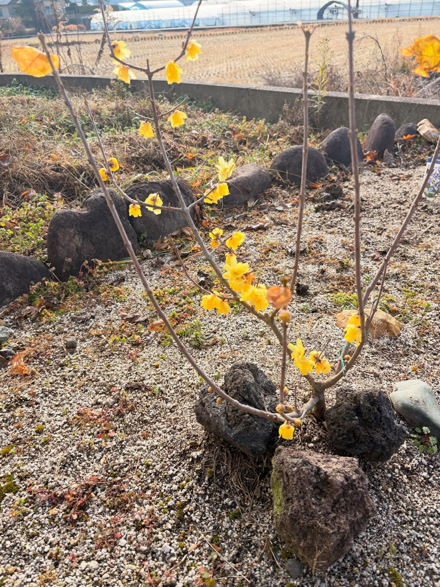 樋口建築は筑後地区で長年にわたり、地域の皆さまに根ざした建築