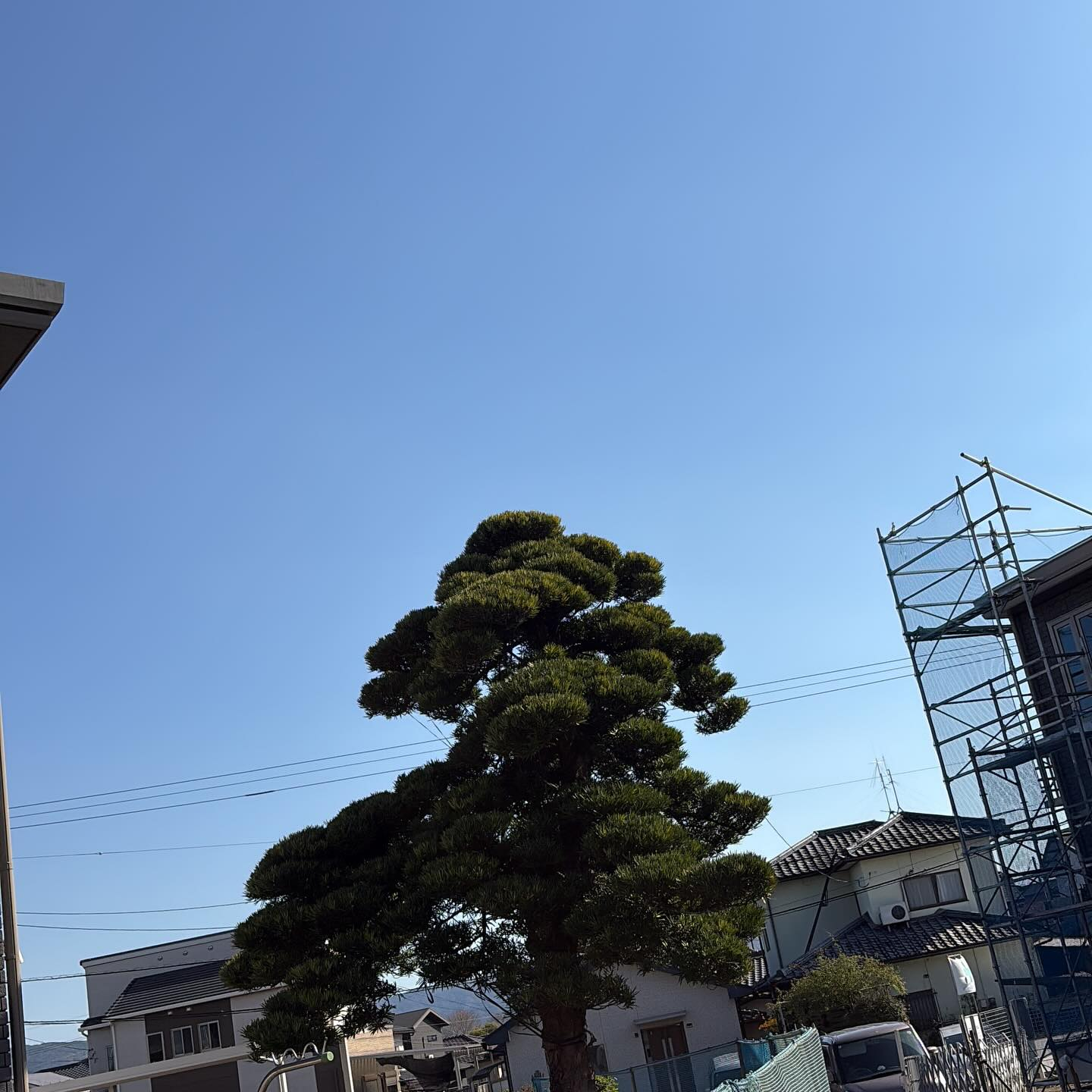 樋口建築は、筑後地区の皆様に信頼される工務店として、個人邸宅