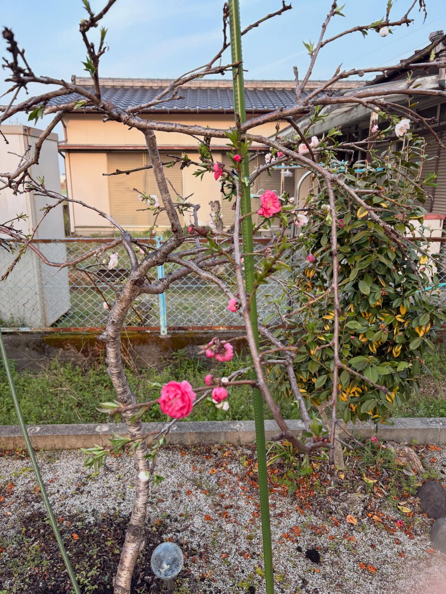 樋口建築は筑後地区を中心に、個人邸宅のリフォーム全般を承って